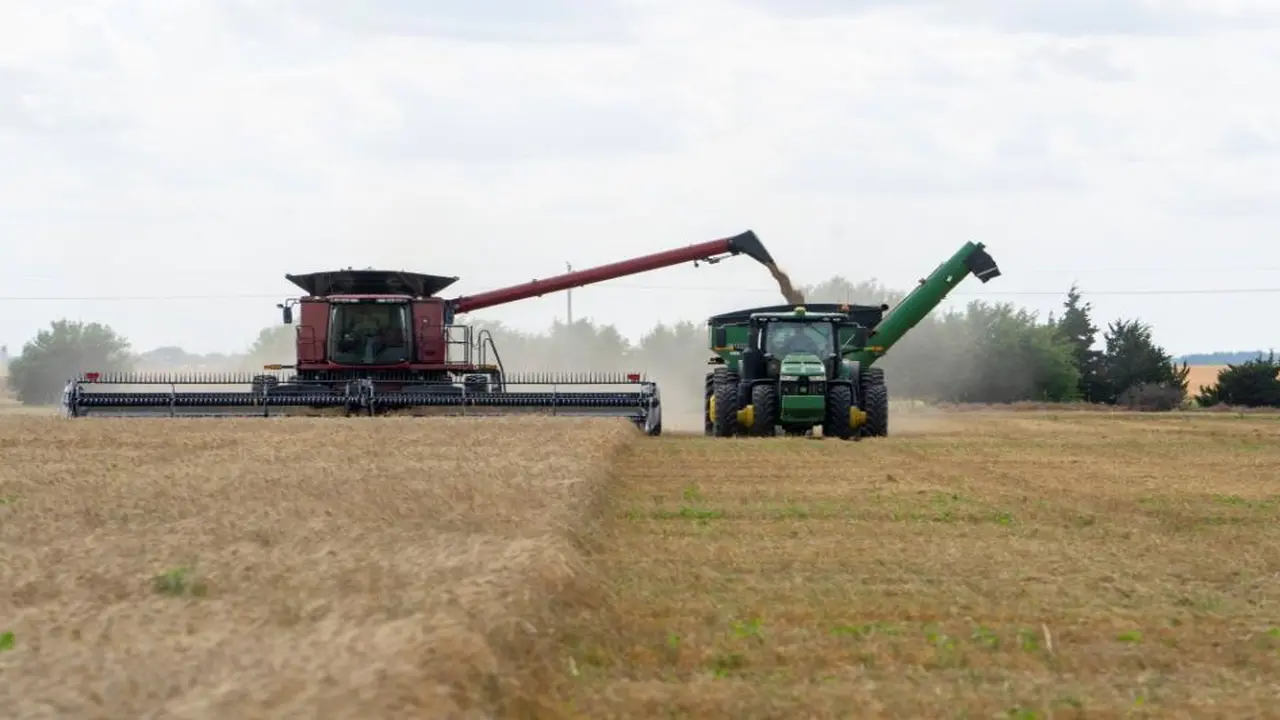 مناقصة سعودية ضخمة ترفع سعر القمح الأوروبي وسط منافسة شرسة في شمال أفريقيا